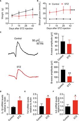 Integrated multi-omics reveals the activated retinal microglia with intracellular metabolic reprogramming contributes to inflammation in STZ-induced early diabetic retinopathy